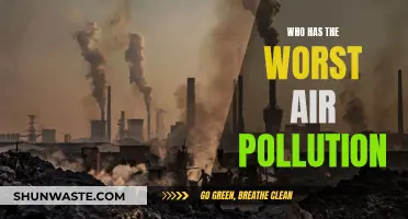 Air Pollution: The World's Worst Offenders