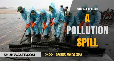 Who Bears Responsibility for Cleaning Up Pollution Spills?