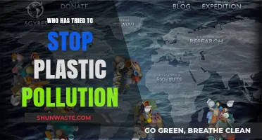 Global Efforts to Combat Plastic Pollution: Heroes and Initiatives Leading the Way