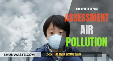 Health Impact of Air Pollution: WHO's Assessment