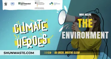 Environmental Heroes: Unsung Champions Saving Our Planet Every Day