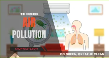 Air Pollution's Hidden Danger: WHO's Warning for Homes