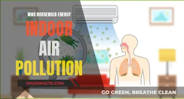 Energy and Air: Household Choices, Global Impact