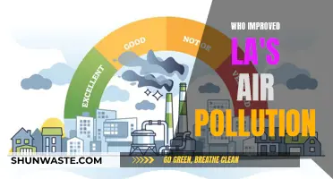 LA's Air Quality: How It Improved Over Time