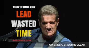 Glenn Frey: The Eagles' Lead Voice on 'Wasted Time
