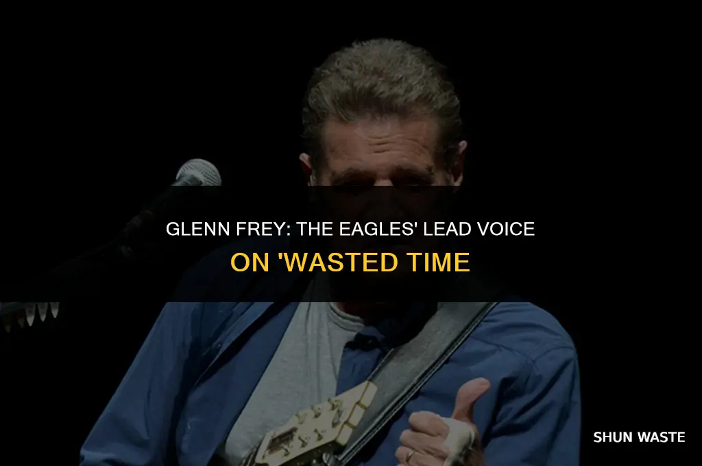 who in the eagles sings lead wasted time