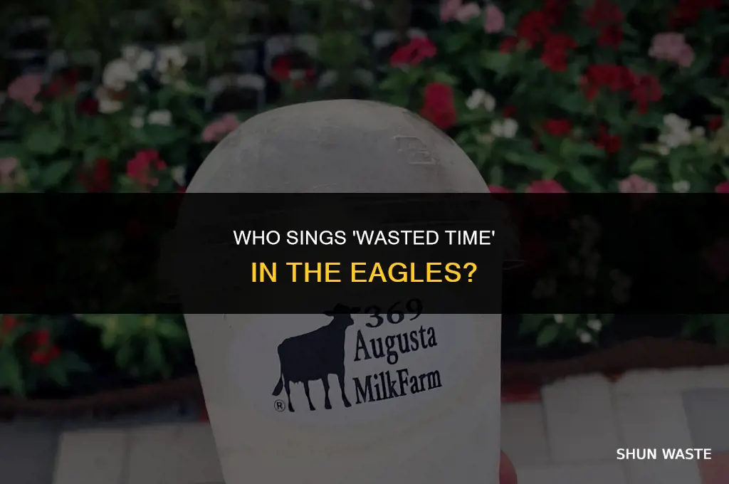 who in the eagles sings wasted time