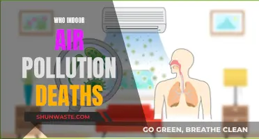 Indoor Air Pollution: A Silent Killer in Our Homes