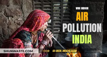 India's Indoor Air Pollution: A Silent Killer