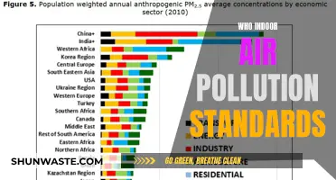 Air Standards: WHO's Indoor Air Pollution Guidelines