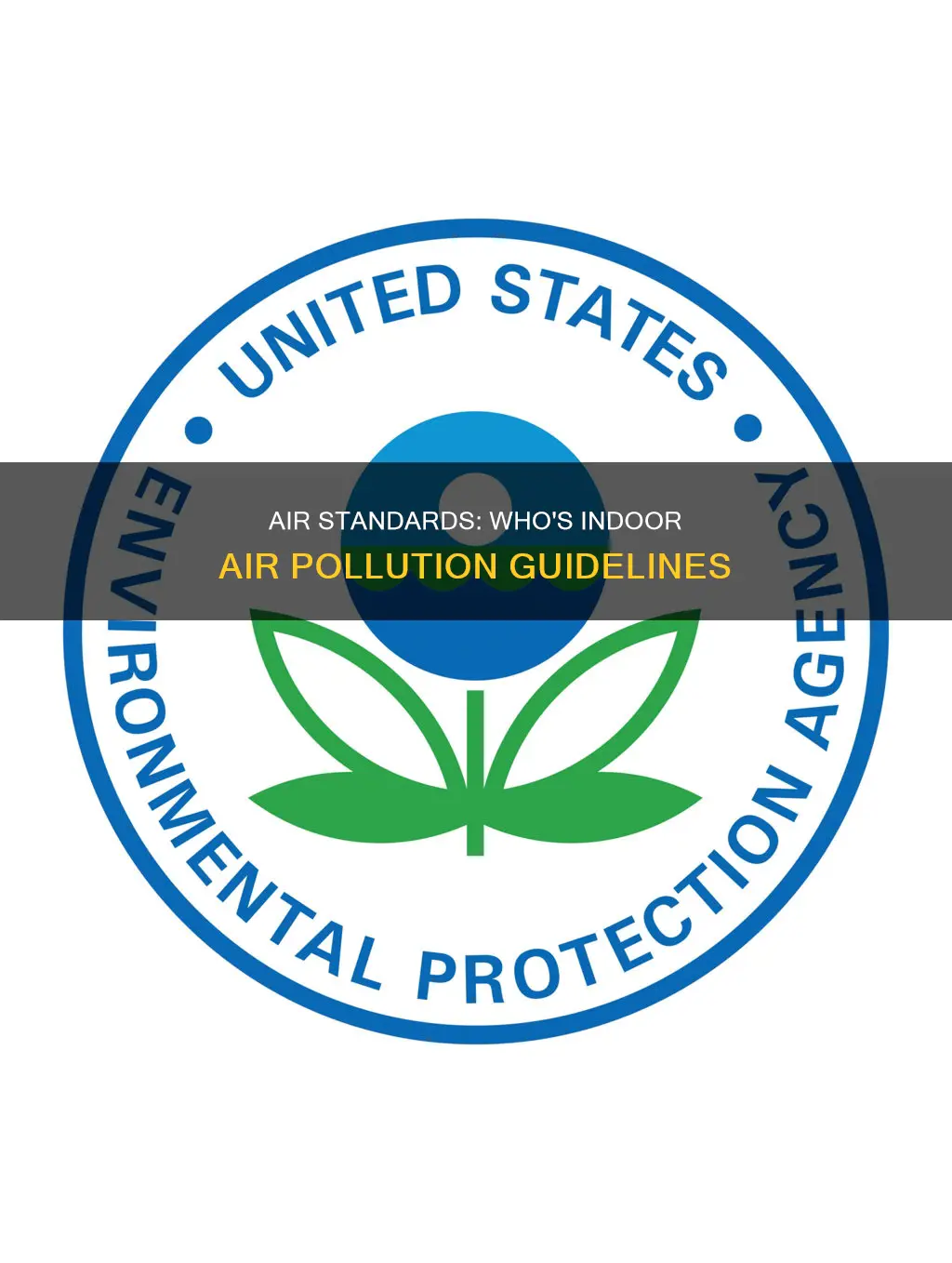 who indoor air pollution standards