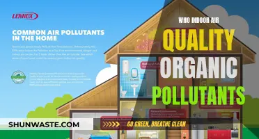 Organic Pollutants: Improving Indoor Air Quality
