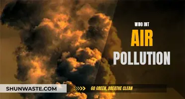 Air Pollution: WHO's Fight for Clean Air