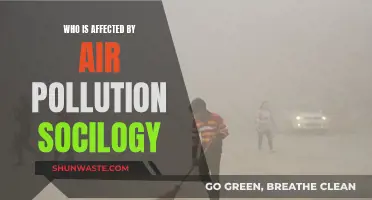 Air Pollution's Social Impact: Who Suffers?