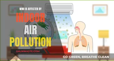 Indoor Air Pollution: Who Is at Risk?