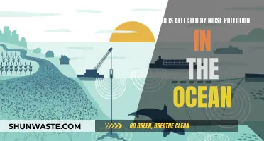 Ocean Noise Pollution: Who Suffers?