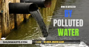 Polluted Water: A Global Health Crisis for All