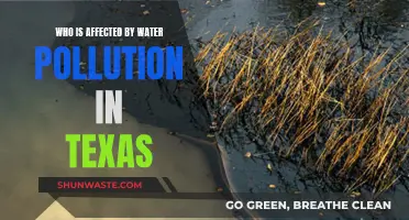 Texas Water Pollution: Who Suffers?