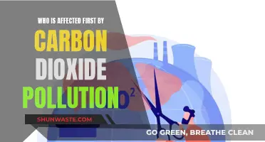 Who Suffers First from Carbon Dioxide Pollution?