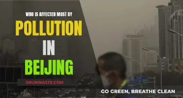 Beijing's Pollution: Who Suffers the Most?