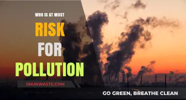Pollution's Most Vulnerable: Identifying High-Risk Groups and Populations