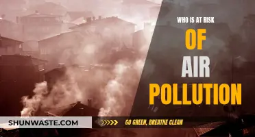 Air Pollution: Who's at Risk?