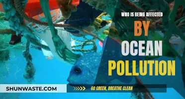 Ocean Pollution: Victims and Their Plight