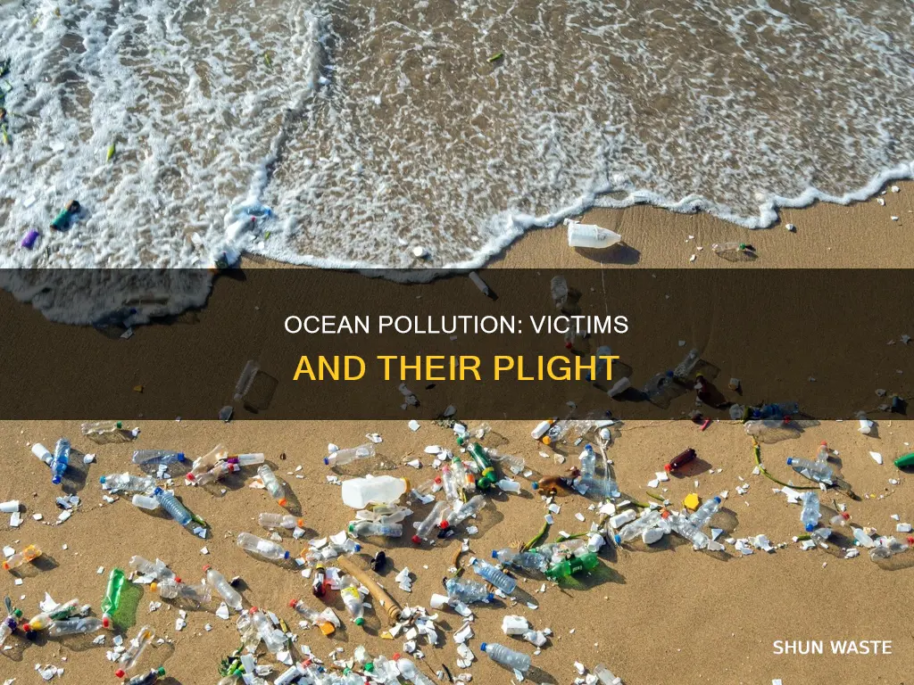 who is being affected by ocean pollution