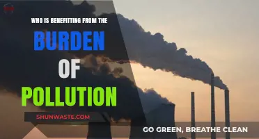 Pollution's Burden: Who Profits While the Planet Suffers?