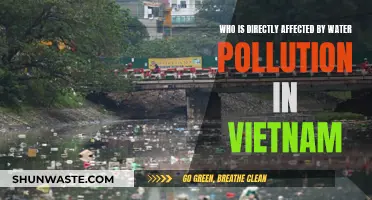 Water Pollution's Impact on Vietnamese People and Nature