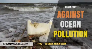 Uniting Heroes: The Global Battle Against Ocean Pollution