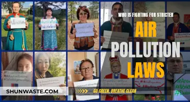Advocates Push for Stricter Air Pollution Laws