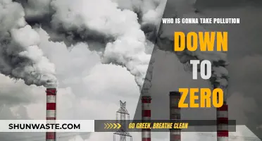 Who Will Lead the Charge to Eliminate Pollution Entirely?