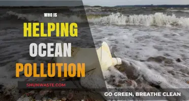 Unveiling Heroes: Organizations and Initiatives Combating Ocean Pollution Today
