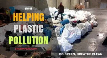 Unveiling Heroes: Organizations and Initiatives Combating Plastic Pollution Crisis