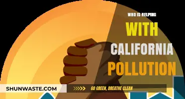 California's Pollution Fight: Key Allies and Initiatives Leading the Charge