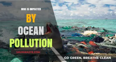 Ocean Pollution's Ripple Effect: Who Bears the Brunt?