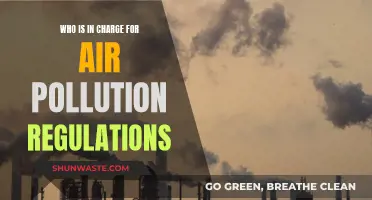 Who Enforces Air Quality: A Clear View