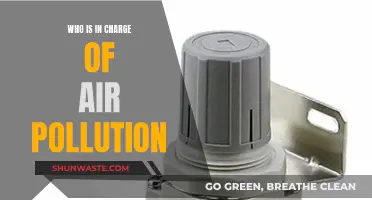 Air Pollution Accountability: Who's Responsible?
