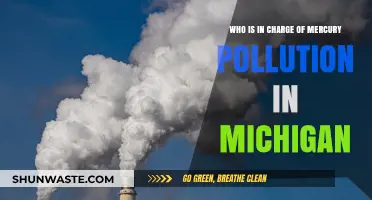 Michigan's Mercury Pollution: Who's Responsible for Cleanup and Regulation?
