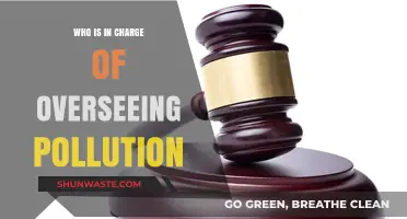 Who Oversees Pollution Control? Understanding Regulatory Authorities and Responsibilities