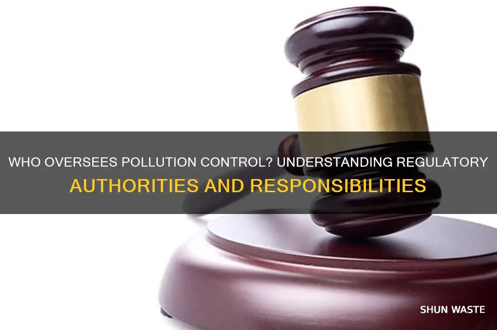 who is in charge of overseeing pollution