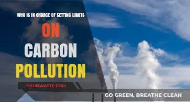 Who Controls Carbon Limits: Understanding Pollution Regulation Leadership