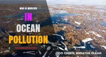 Unveiling the Culprits: Who Contributes to Ocean Pollution Crisis?