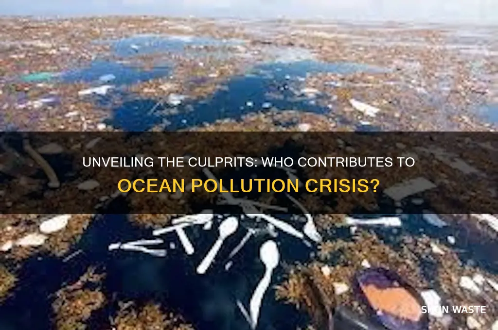 who is involved in ocean pollution