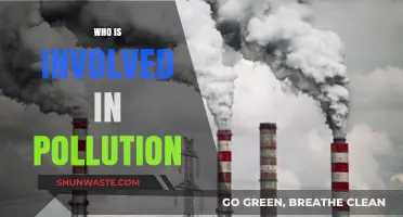 Unveiling the Culprits: Who Contributes to Global Pollution Crisis?