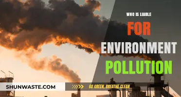 Who Bears Responsibility for Environmental Pollution? Unraveling Liability and Accountability
