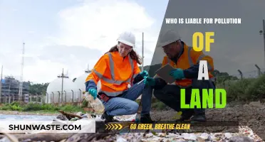 Who Bears Responsibility for Land Pollution? Legal Liabilities Explained