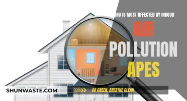 Indoor Air Pollution: Who Suffers the Most?