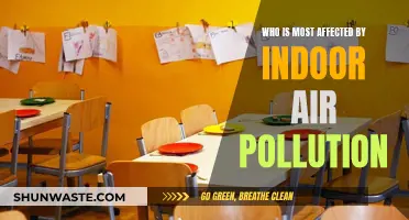 Indoor Air Pollution: Who Suffers the Most?